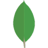 MongoDB