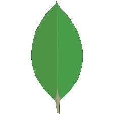 MongoDB logo