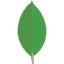 MongoDB