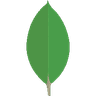 MongoDB